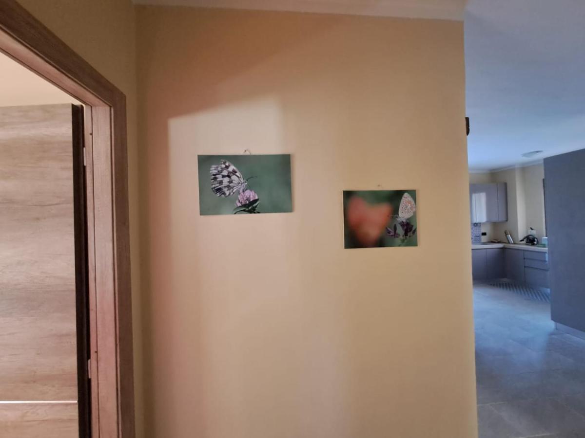 Maison Lydie سانت فينسنت المظهر الخارجي الصورة